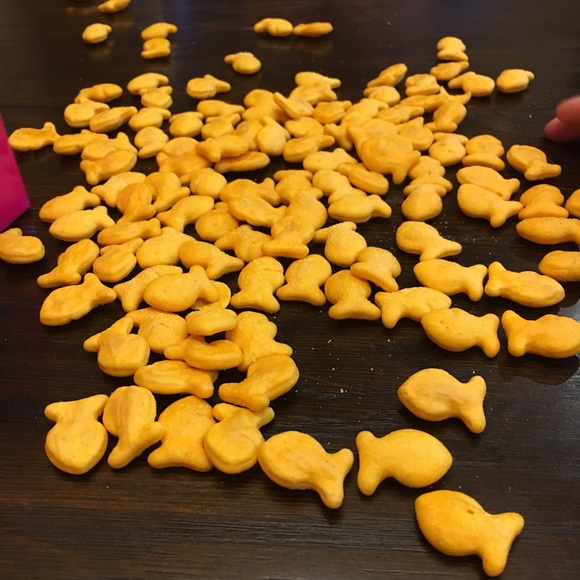 Meet your Posher, Gina - Picture 1 of 1